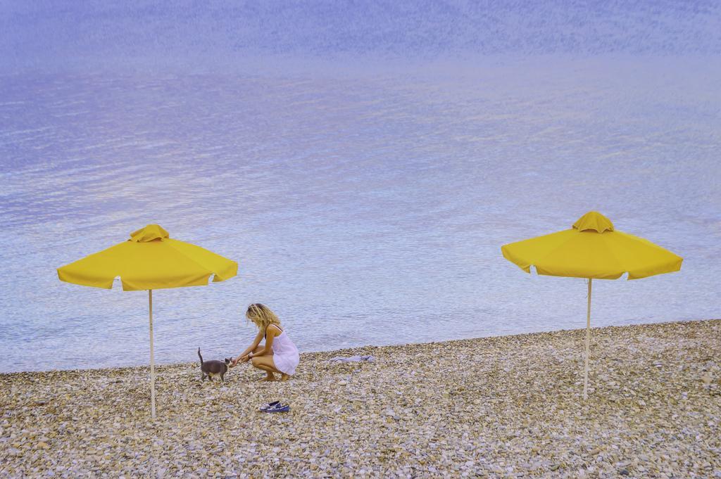 Hotel Avlakia Kokkari Zewnętrze zdjęcie